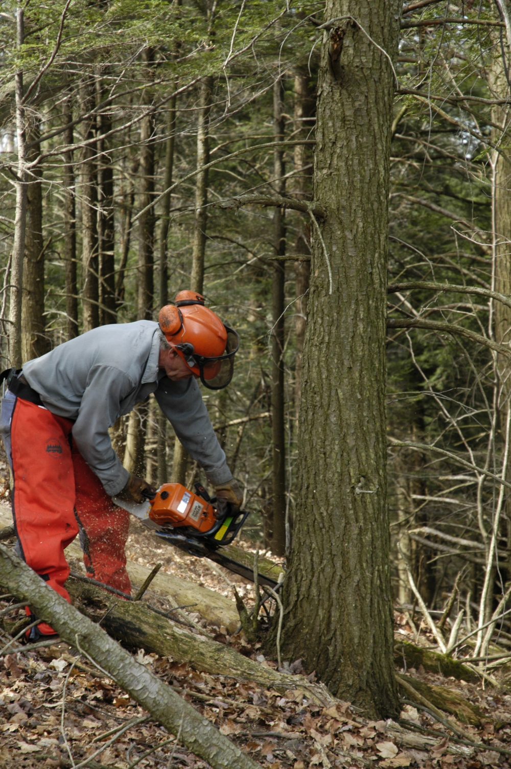 Chainsaw
