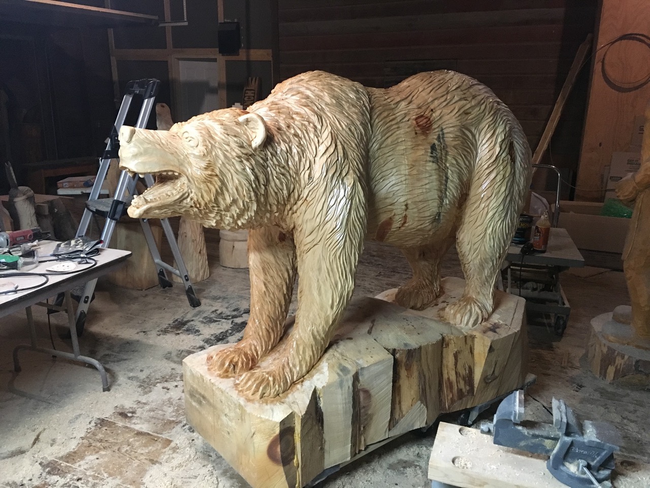Soderlund Bear 1