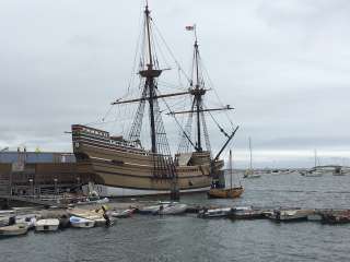 mayflower