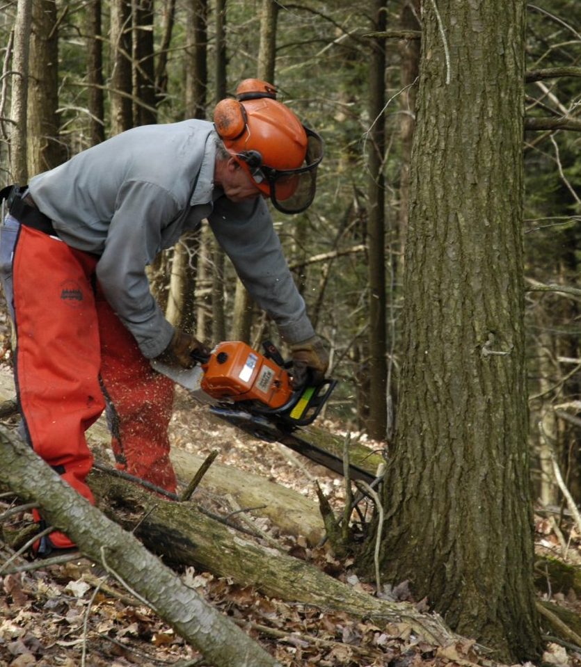 Chainsaw