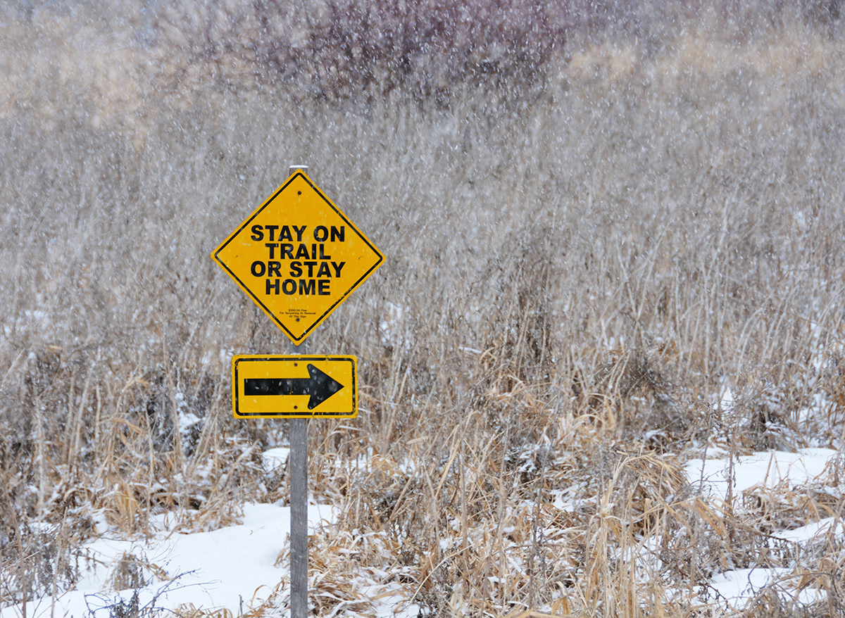 Snowmobile Trail Sign