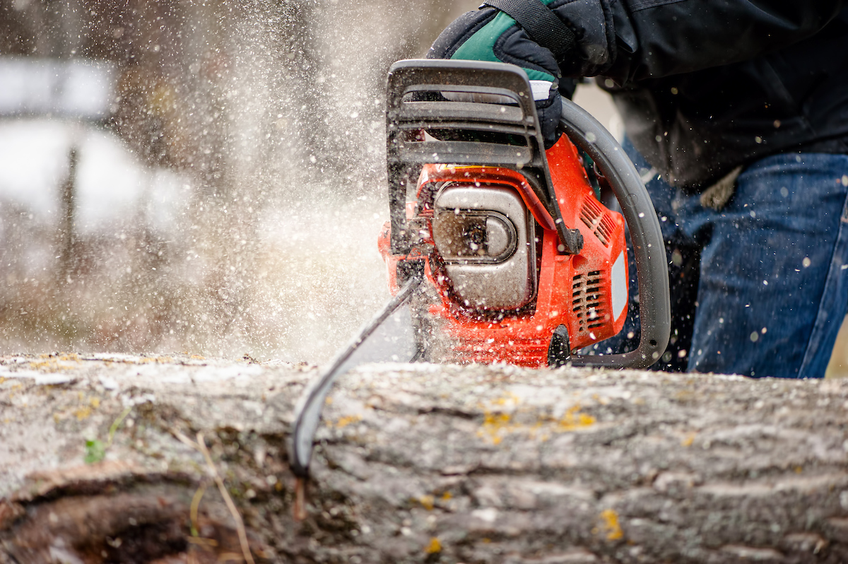 Saber chainsaw cutting log.