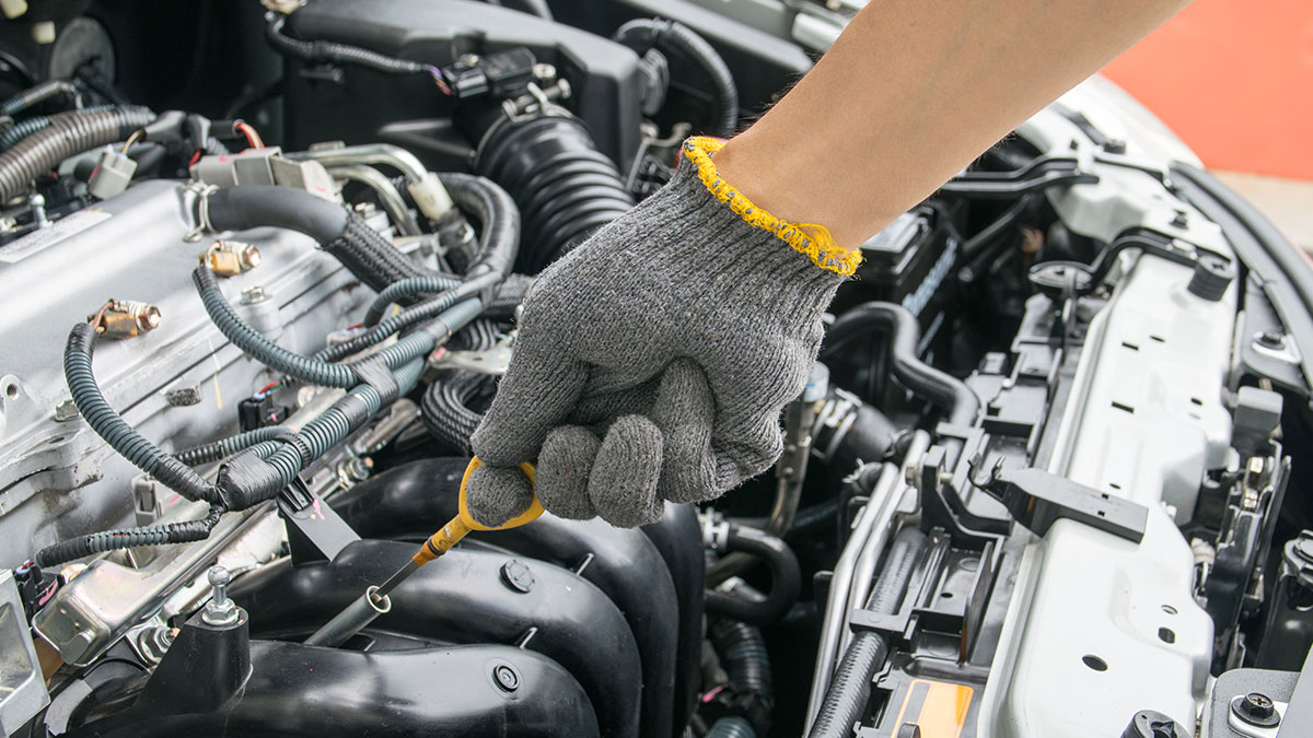 A Beginner's Guide to Motor Oil: What You Need to Know – AMSOIL Blog
