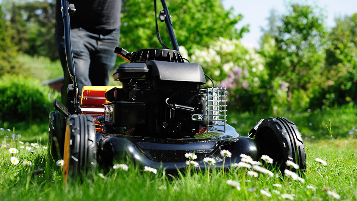 How To Start A Lawn Mower When You re Weak Lawnmower Won't Start? Here's what to do. - AMSOIL Blog