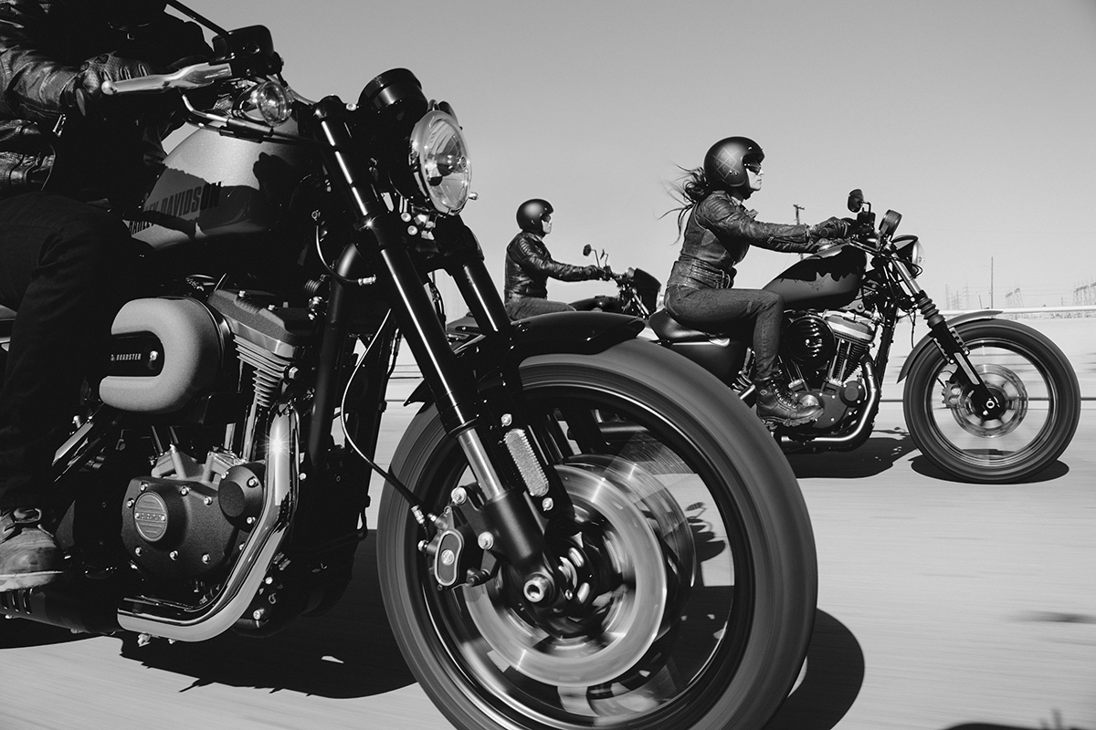 Harley-Davidson V-Twin Motorcycles