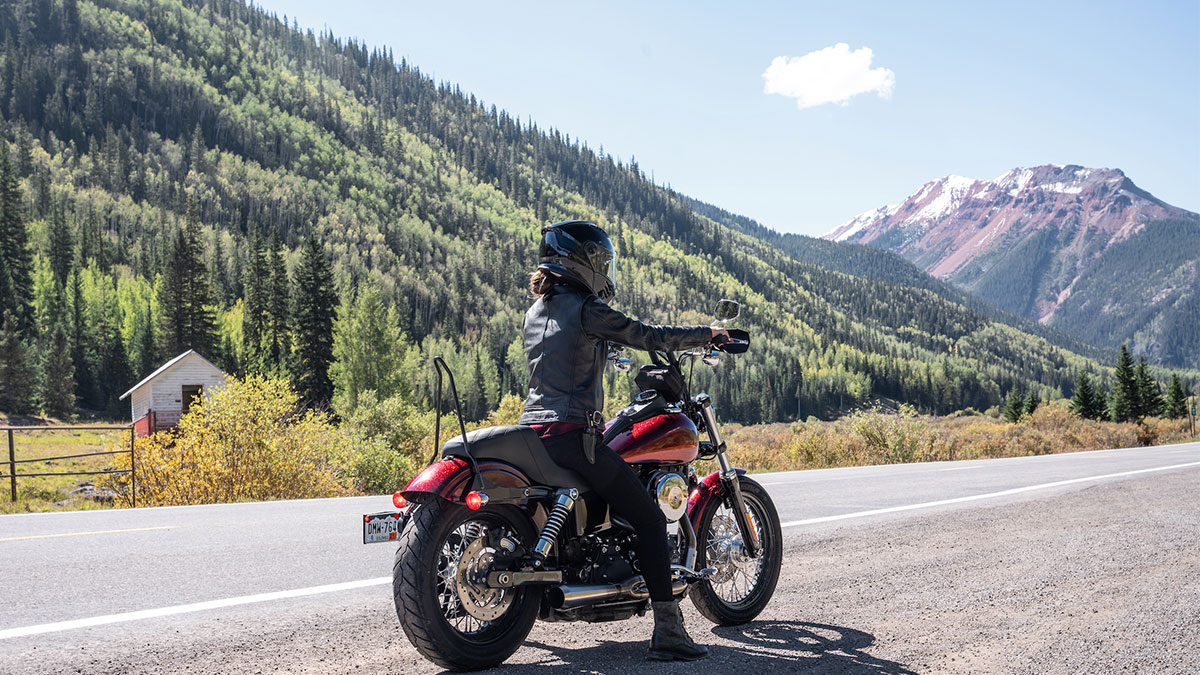 V-twin motorcycle alongside highway