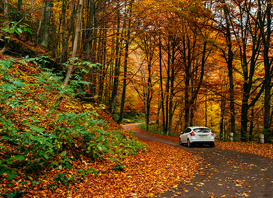 A high-mileage car drives an autumn road.